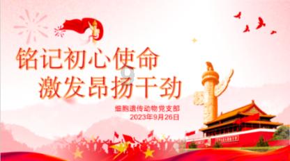 苏菲亚和安伯的休闲装